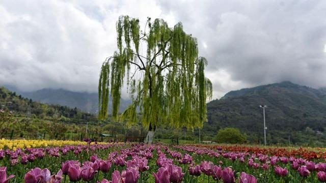 (Waseem Andrabi / HT Photo) (Waseem Andrabi / HT Photo)