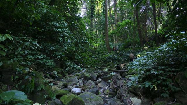 Forest near Mehao lake in Dibang valley where the company plans to develop a combination of two run-of-the-river projects involving the construction of concrete gravity dams on the Tangon and Dri tributaries of the Dibang. (HT Photo/ Ram Alluri ) Forest near Mehao lake in Dibang valley where the company plans to develop a combination of two run-of-the-river projects involving the construction of concrete gravity dams on the Tangon and Dri tributaries of the Dibang. (HT Photo/ Ram Alluri )