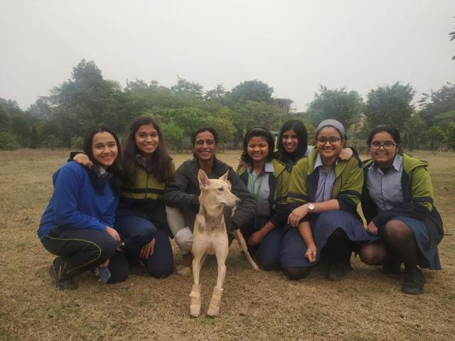 The students with Ellie. The students with Ellie.