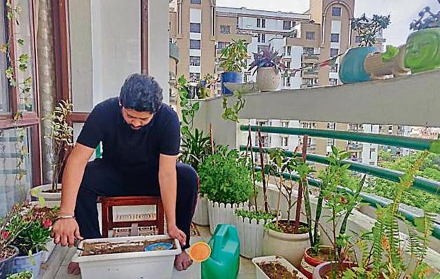 Mangesh Gulkotwar recently harvested his first tiny batch of methi and palak from his balcony garden. Expect about half your attempts to work out, he says. Mangesh Gulkotwar recently harvested his first tiny batch of methi and palak from his balcony garden. Expect about half your attempts to work out, he says.