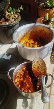 Green mango pickle put out for sun-drying (Photo: Mona Jena) Green mango pickle put out for sun-drying (Photo: Mona Jena)