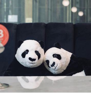 stuffed pandas near me