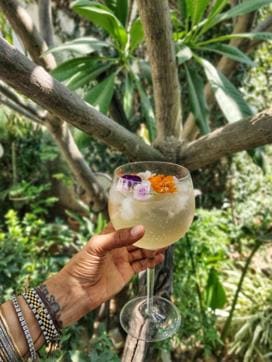 Pomelo Cinnamon Gin and Tonic by Parthiv Ravindran