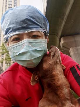 The picture shows nurse Zhang Dan with Doudou. (AP) The picture shows nurse Zhang Dan with Doudou. (AP)