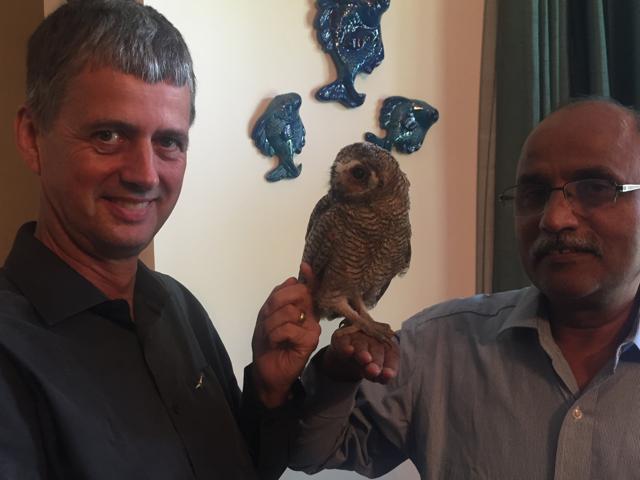 Raptor experts, Chris Bowden (left) and Dr Vibhu Prakash, examining the Mottled Wood owl fledgling rescued from the Chandigarh Golf Club in May 2018. (PHOTO: VIKRAM JIT SINGH)