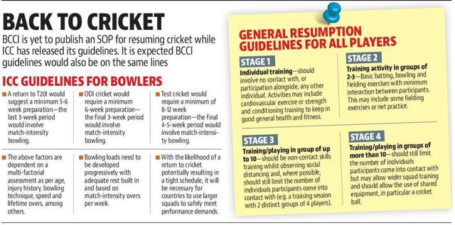 cricket daily plan