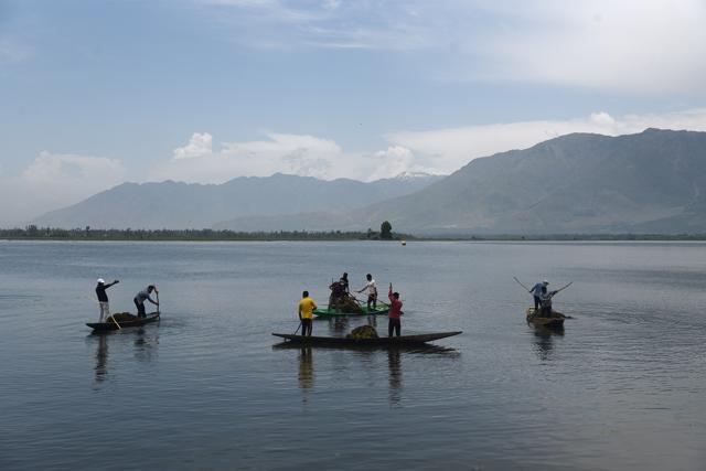 Kashmiri labourers cleaning the Dal Lake in Srinagar. (Waseem Andrabi/ HT)