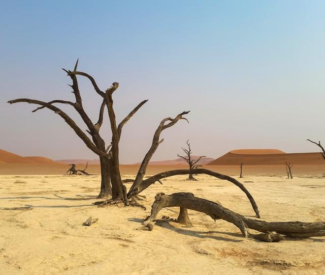 The coastal desert of Namibia (Pixabay) The coastal desert of Namibia (Pixabay)