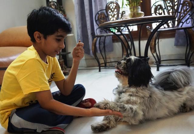 Mannan Taneja likes to spend quality time with his best friend Bony, a one-year-old Lhasa Apso puppy