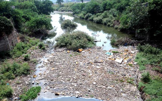 The Badi Nadi choked with garbage in Patiala. (Bharat Bhushan/HT ) The Badi Nadi choked with garbage in Patiala. (Bharat Bhushan/HT )