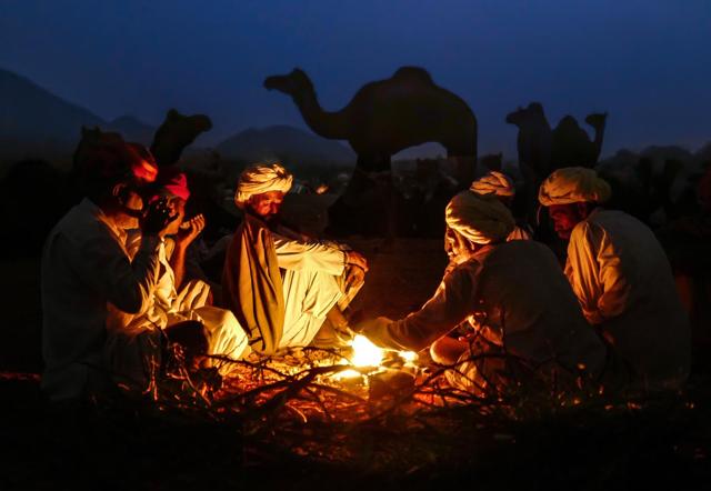 Life in Thar: Bishnoi tribe resting with their camels in the background in Pushkar. Life in Thar: Bishnoi tribe resting with their camels in the background in Pushkar.