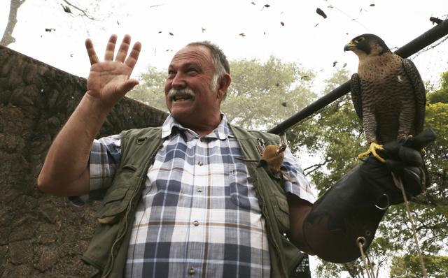 Gary Strafford, a Zimbabwean falconer, holds a falcon inside one of the cages at his bird sanctuary, Kuimba Shiri, near Harare, Zimbabwe, Wednesday, June, 17, 2020. (AP) Gary Strafford, a Zimbabwean falconer, holds a falcon inside one of the cages at his bird sanctuary, Kuimba Shiri, near Harare, Zimbabwe, Wednesday, June, 17, 2020. (AP)