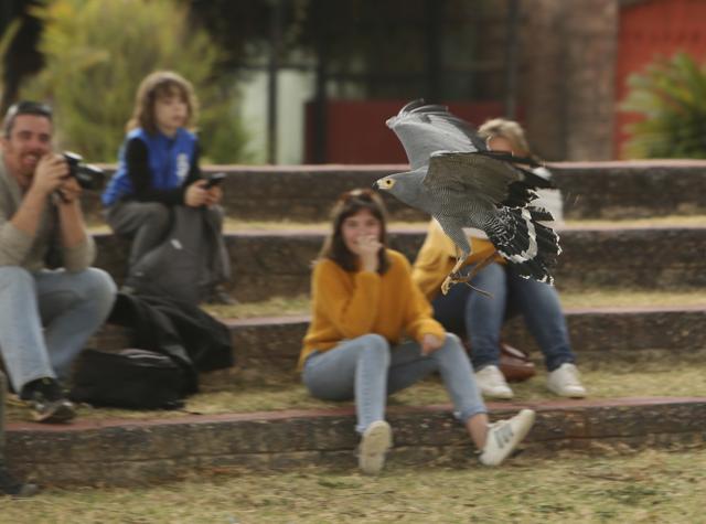 Visitors watch a bird in flight at the bird sanctuary Kuimba Shiri, near Harare, Zimbabwe, Wednesday, June, 17, 2020. (AP) Visitors watch a bird in flight at the bird sanctuary Kuimba Shiri, near Harare, Zimbabwe, Wednesday, June, 17, 2020. (AP)