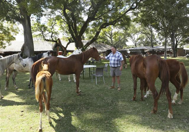 Gary Strafford, a Zimbabwean falconer, with his horses at his bird sanctuary, Kuimba Shiri, near Harare, Zimbabwe, Wednesday, June, 17, 2020. (AP) Gary Strafford, a Zimbabwean falconer, with his horses at his bird sanctuary, Kuimba Shiri, near Harare, Zimbabwe, Wednesday, June, 17, 2020. (AP)
