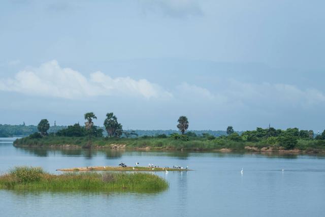 The landscape of Ponnani where KM Vasudevan Namboodiri was born. (Shutterstock) The landscape of Ponnani where KM Vasudevan Namboodiri was born. (Shutterstock)