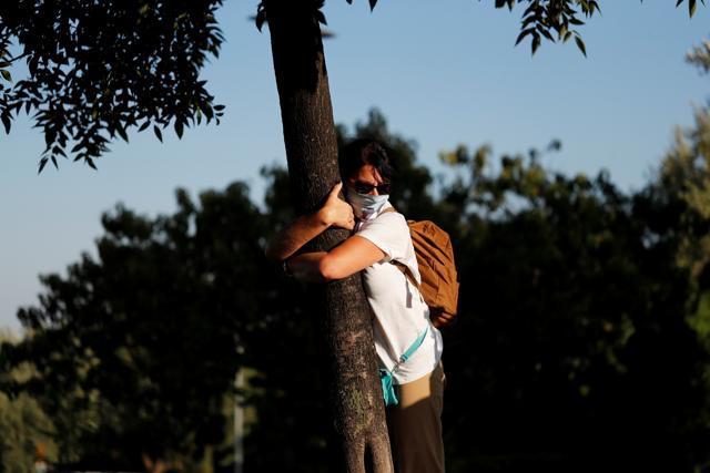 A woman takes part in a campaign by Israel's Nature and Parks Authority calling on people to join sightseeing tours and find comfort in tree hugging. (REUTERS)