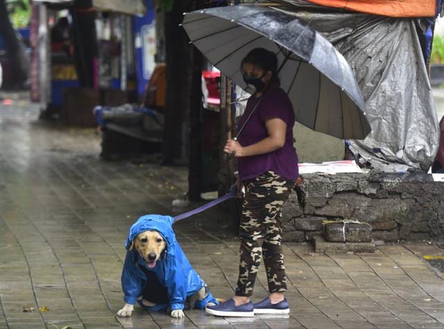A pedigree dog takes walk in the rain, at Lalbaug in Mumbai, while the owner ensures that the pet has a raincoat on. (Photo: Anshuman Poyrekar/HT )