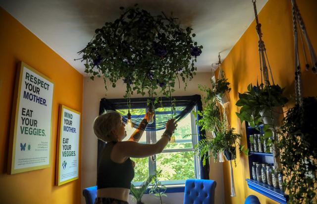 Rachel Berry, in New York City since 2004 from Laurel, Maryland, shows her kitchen decorated with her graphic designs and plants, Monday, July 6, 2020, in New York. (AP)