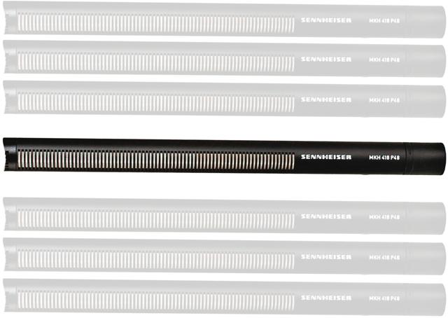 You can go super pro with a Sennheiser mic You can go super pro with a Sennheiser mic