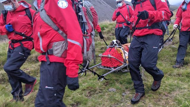 Volunteers from Wasdale mountain rescue team carry 121lb (55kg) St Bernard dog, Daisy from England's highest peak, Scafell Pike, Sunday July 26, 2020. (Wasdale Mountain Rescue via AP) Volunteers from Wasdale mountain rescue team carry 121lb (55kg) St Bernard dog, Daisy from England's highest peak, Scafell Pike, Sunday July 26, 2020. (Wasdale Mountain Rescue via AP)