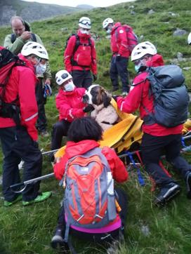 The mountain rescue team spent nearly five hours rescuing St Bernard dog Daisy, who had collapsed displaying signs of pain in her rear legs and was refusing to move, while descending Scafell Pike. (Wasdale Mountain Rescue via AP) The mountain rescue team spent nearly five hours rescuing St Bernard dog Daisy, who had collapsed displaying signs of pain in her rear legs and was refusing to move, while descending Scafell Pike. (Wasdale Mountain Rescue via AP)