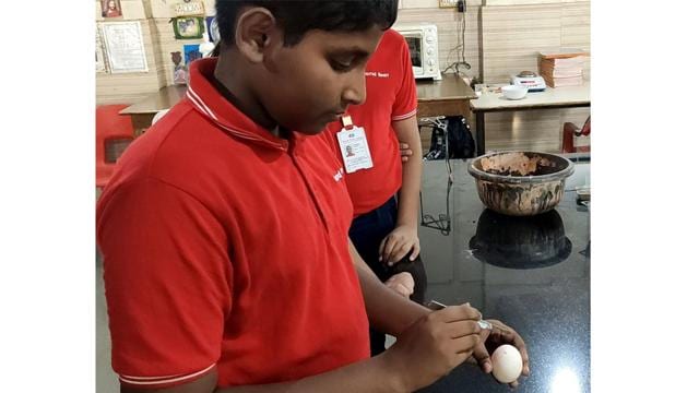 Biomimicry Lab’s discovery could change building construction technology in the 21st century and reduce global warming Biomimicry Lab’s discovery could change building construction technology in the 21st century and reduce global warming