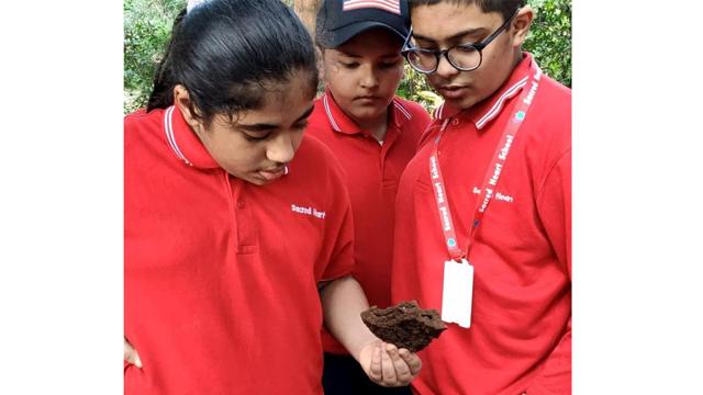 Biomimicry Lab’s discovery could change building construction technology in the 21st century and reduce global warming Biomimicry Lab’s discovery could change building construction technology in the 21st century and reduce global warming