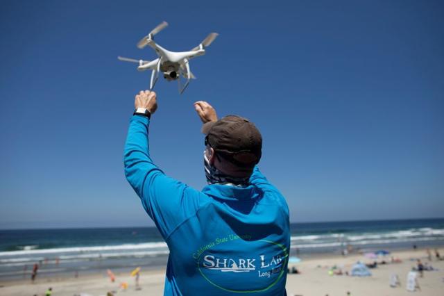 Marine biologists Chris Lowe PhD (L) retrieves an incoming drone as his Shark Lab team from Cal State Long Beach work on a study of the animals in Del Mar, California, U.S., July 15, 2020. (REUTERS/Mike Blake) Marine biologists Chris Lowe PhD (L) retrieves an incoming drone as his Shark Lab team from Cal State Long Beach work on a study of the animals in Del Mar, California, U.S., July 15, 2020. (REUTERS/Mike Blake)