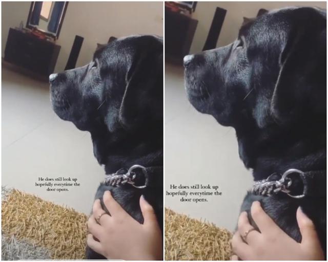 Glimpses of Fudge. Glimpses of Fudge.