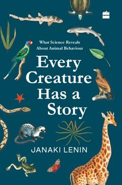 Rs 599, 282pp; HarperCollins
