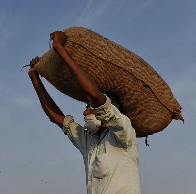 A shot from the Ghazipur mandi by Indraneel Chowdhary.