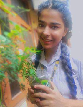 The students planted saplings at their homes (HT Photo) The students planted saplings at their homes (HT Photo)