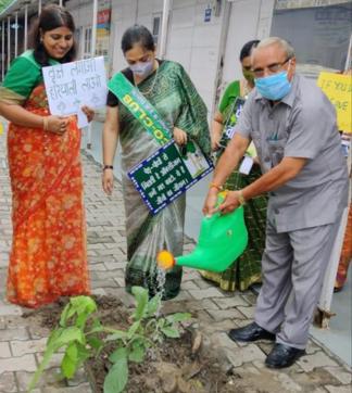 Staff members of GGSS planted 50 saplings during the event. (HT Photo) Staff members of GGSS planted 50 saplings during the event. (HT Photo)