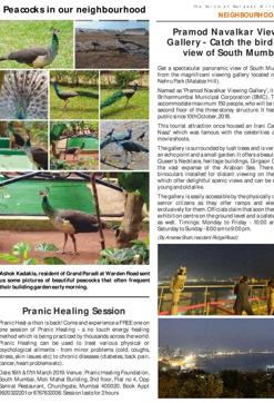 In the paper, you will find pictures of peacocks sitting on cars in Godrej Baug; the tale of a local resident who rescued an owl; a social organisation doing good work. In the paper, you will find pictures of peacocks sitting on cars in Godrej Baug; the tale of a local resident who rescued an owl; a social organisation doing good work.