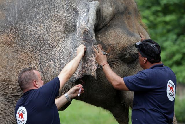 Frank Goeritz and Amir Khalil with Kaavan, the elephant. (REUTERS)