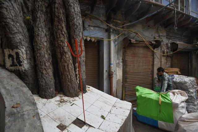 A man working near a large tree with a small shrine constructed around it and homes built adjacent, in the Chandni Chowk area in New Delhi on September 7, 2020. (Biplov Bhuyan/HT Photo) A man working near a large tree with a small shrine constructed around it and homes built adjacent, in the Chandni Chowk area in New Delhi on September 7, 2020. (Biplov Bhuyan/HT Photo)