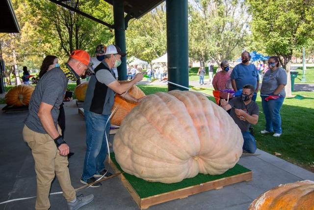 Officials measuring a giant pumpkin. (AP) Officials measuring a giant pumpkin. (AP)