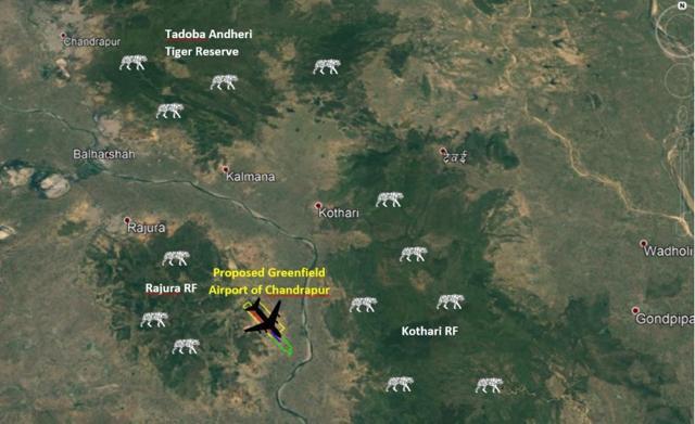 The Chandrapur airport construction would require the diversion of 75-hectare forest land. (Photo courtesy: Wildlife Institute of India, Dehradun) The Chandrapur airport construction would require the diversion of 75-hectare forest land. (Photo courtesy: Wildlife Institute of India, Dehradun)