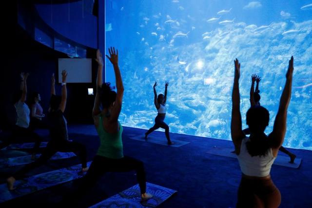 People take part in a yoga class at Ocean Park's aquarium, as a new activity to attract visitors amid a drop in tourists due to the coronavirus disease (COVID-19) outbreak, in Hong Kong, China October 8, 2020. (REUTERS) People take part in a yoga class at Ocean Park's aquarium, as a new activity to attract visitors amid a drop in tourists due to the coronavirus disease (COVID-19) outbreak, in Hong Kong, China October 8, 2020. (REUTERS)