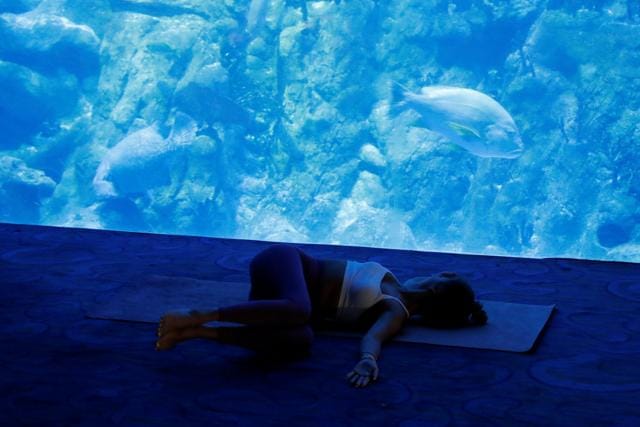 A person takes part in a yoga class at Ocean Park's aquarium, a new activity to attract visitors amid a drop in tourists due to the coronavirus disease (COVID-19) outbreak, in Hong Kong, China October 8, 2020. (REUTERS) A person takes part in a yoga class at Ocean Park's aquarium, a new activity to attract visitors amid a drop in tourists due to the coronavirus disease (COVID-19) outbreak, in Hong Kong, China October 8, 2020. (REUTERS)