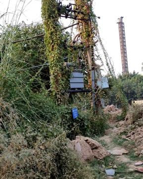 An electricity transformer is engulfed by wild growth at the Industrial Area in Phase 8B, Mohali. (Gurminder Singh/HT)