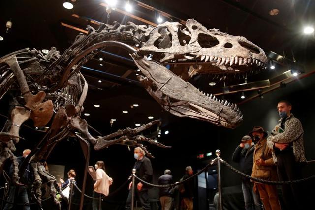 Skeleton of an Allosaurus displayed at Drouot auction house in Paris, France. (REUTERS) Skeleton of an Allosaurus displayed at Drouot auction house in Paris, France. (REUTERS)