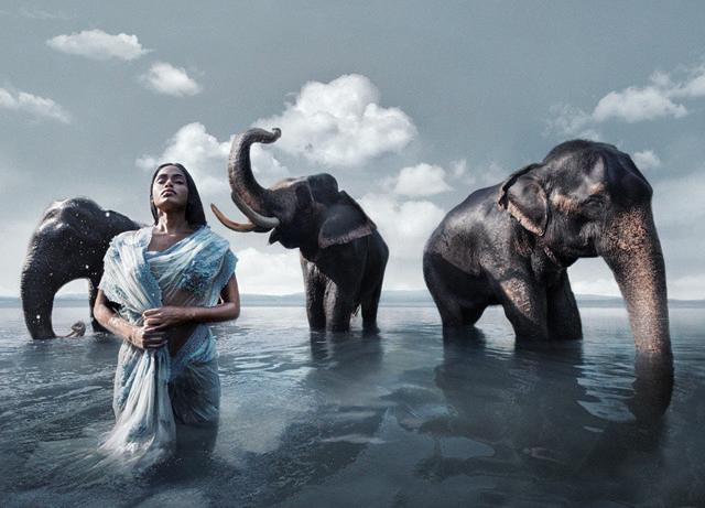 The seven holy rivers of India called the Sapta Sindhu inspired the Shuddhi Festive line