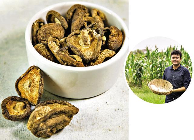 Sumit Sharan (inset) sources (left) shiitake from farmers all over India