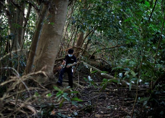 Paranormal investigator Charles Goh looks for signs of former settlements in a jungle near Yishun, in Singapore October 15, 2020. (REUTERS)