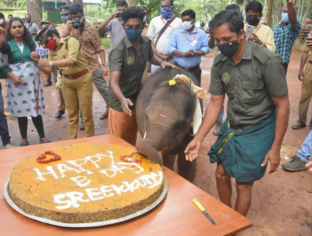 One-year-old Sreekutty with her birthday cake. (HT/Ramesh Babu) One-year-old Sreekutty with her birthday cake. (HT/Ramesh Babu)