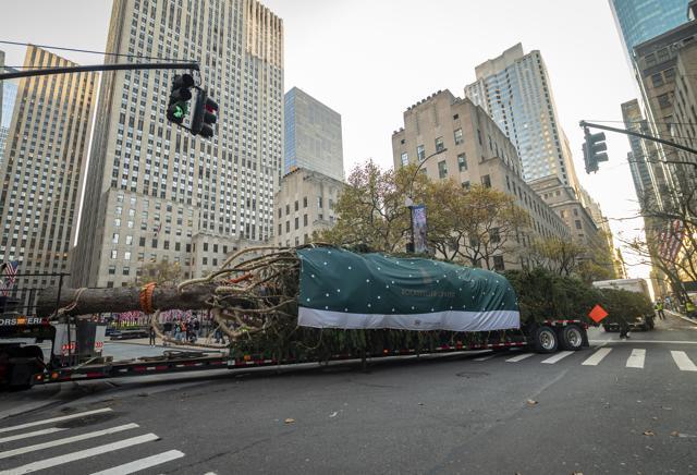A 12-foot-tall 2D Christmas tree is looking over Fifth Avenue now