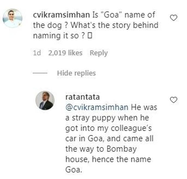 Ratan Tata’s response on Instagram. (Instagram/@ratantata) Ratan Tata’s response on Instagram. (Instagram/@ratantata)