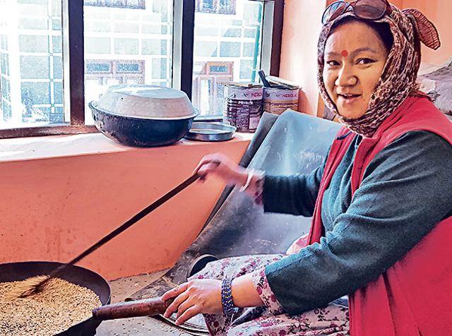 Suman Thakur of Sissu village roasts barley for the winter. Residents are playing it safe and stocking up. Suman Thakur of Sissu village roasts barley for the winter. Residents are playing it safe and stocking up.