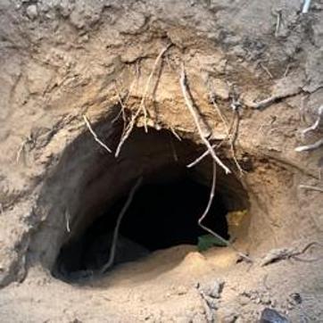 The tunnel, with a diameter of 12-14 inches, is nearly 160 metres from the international border. (Sourced) The tunnel, with a diameter of 12-14 inches, is nearly 160 metres from the international border. (Sourced)